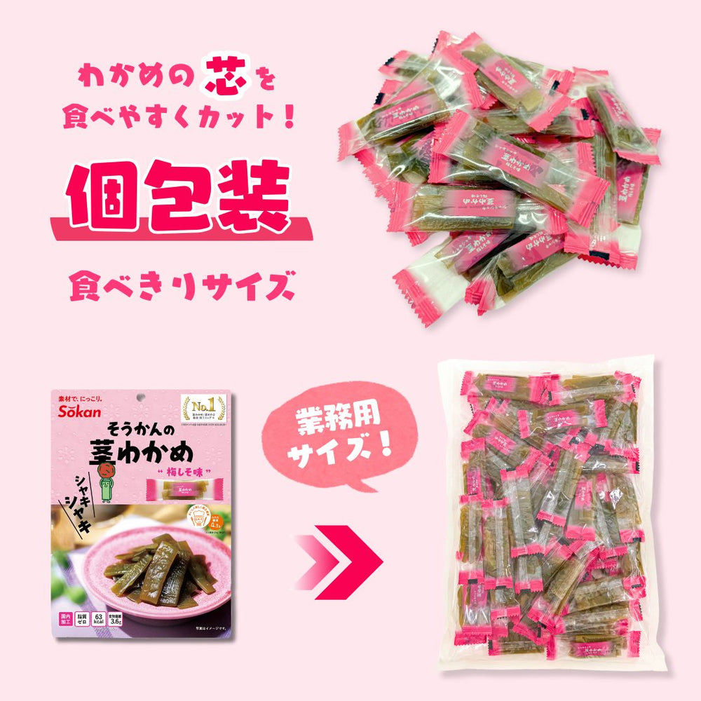 茎わかめ 梅しそ味 500g×1袋 茎わかめ うす塩味 500g×1袋 壮関 計2袋(1kg)