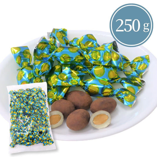 ティラミスチョコレート 日本チョコレート 250g 〇