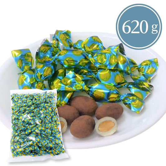 ティラミスチョコレート 日本チョコレート 620g ◇