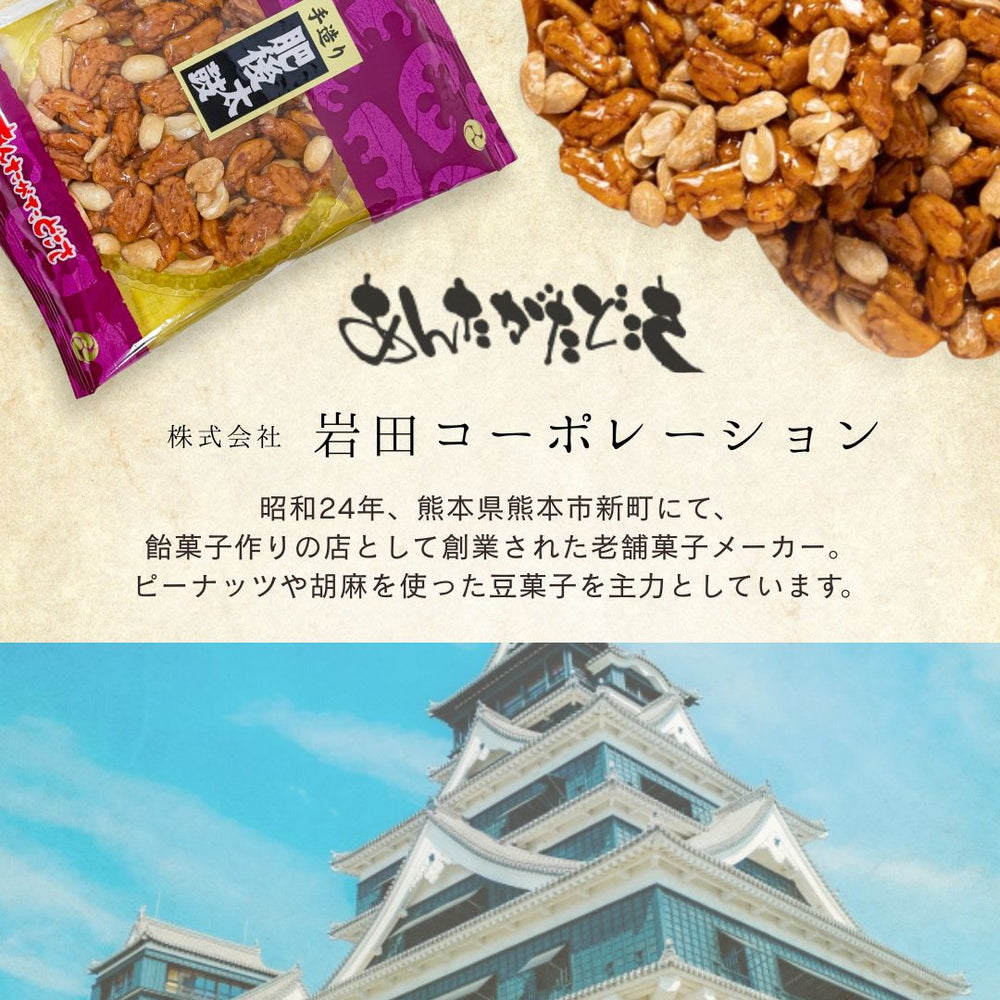 肥後太鼓 岩田コーポレーション 8枚 ◇