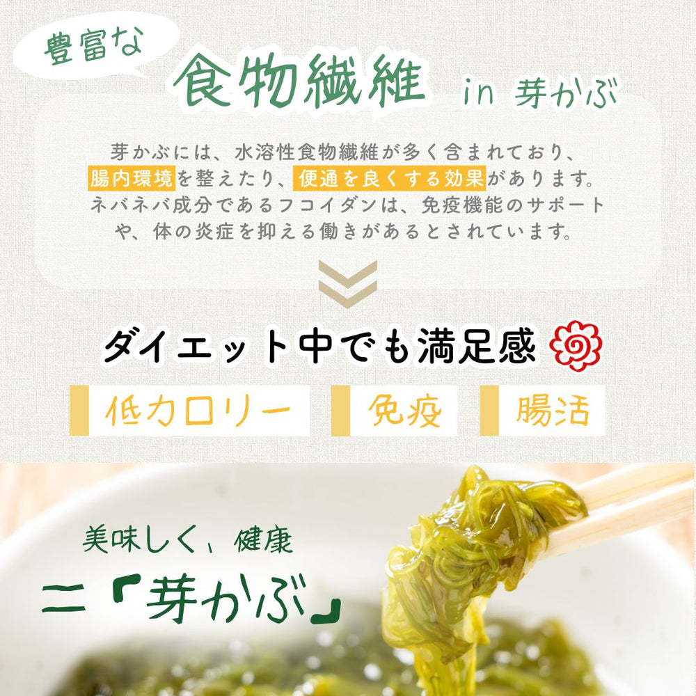 芽かぶ入りあさ漬け塩 ウィルビー 280ｇ×5袋セット