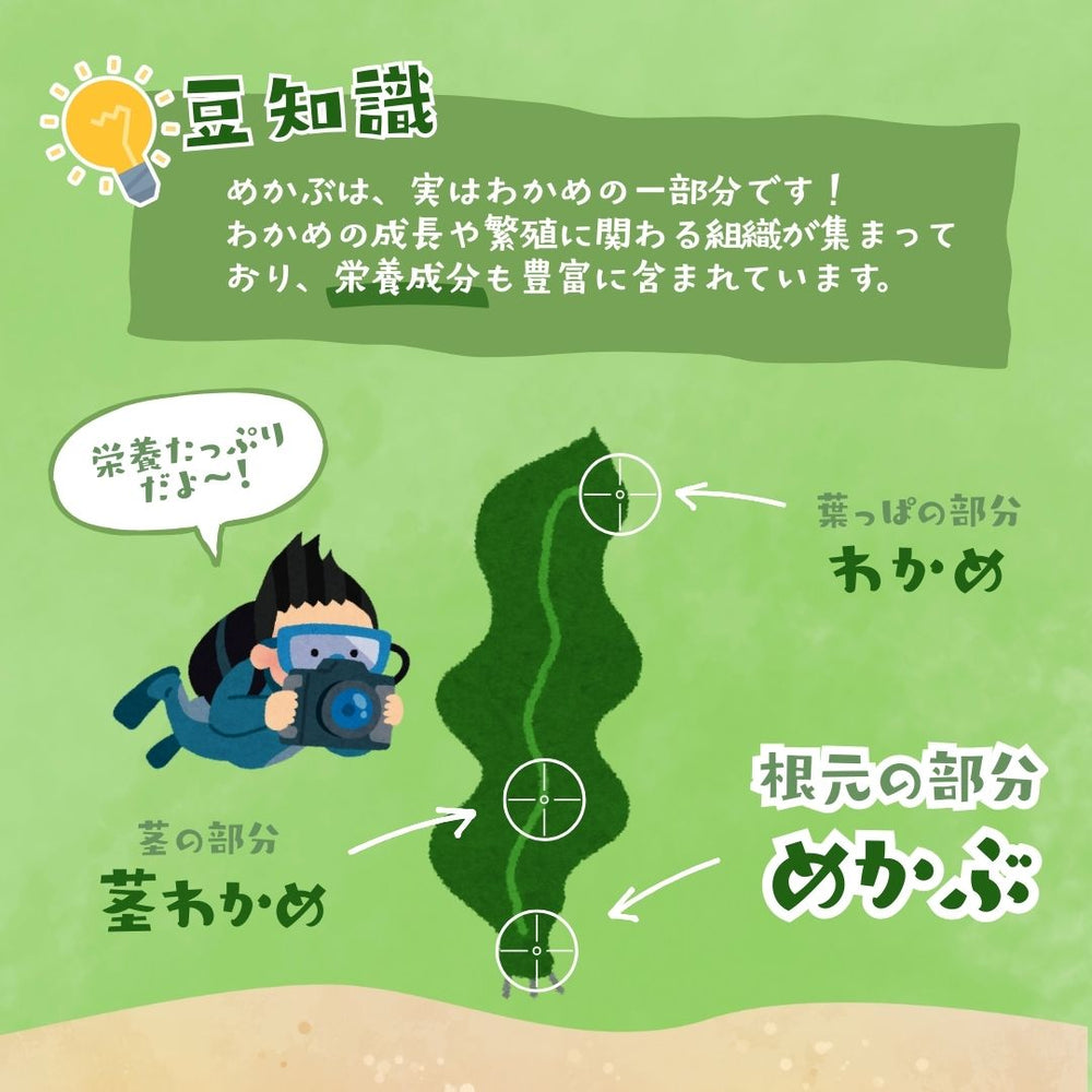 おしゃぶり芽かぶ梅味 ウィルビー 75ｇ×10袋セット