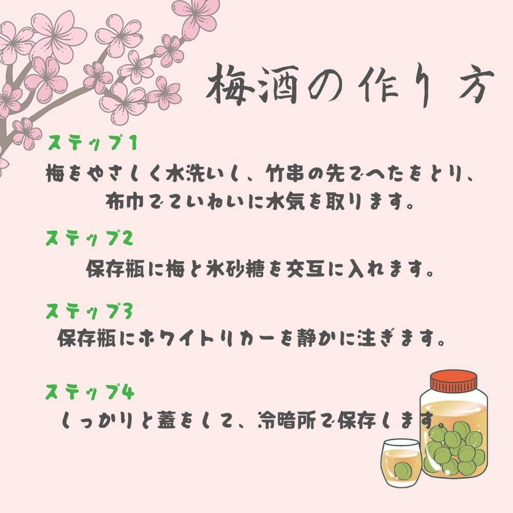 梅酒のうめ チョーヤ 200g×4袋 ◇
