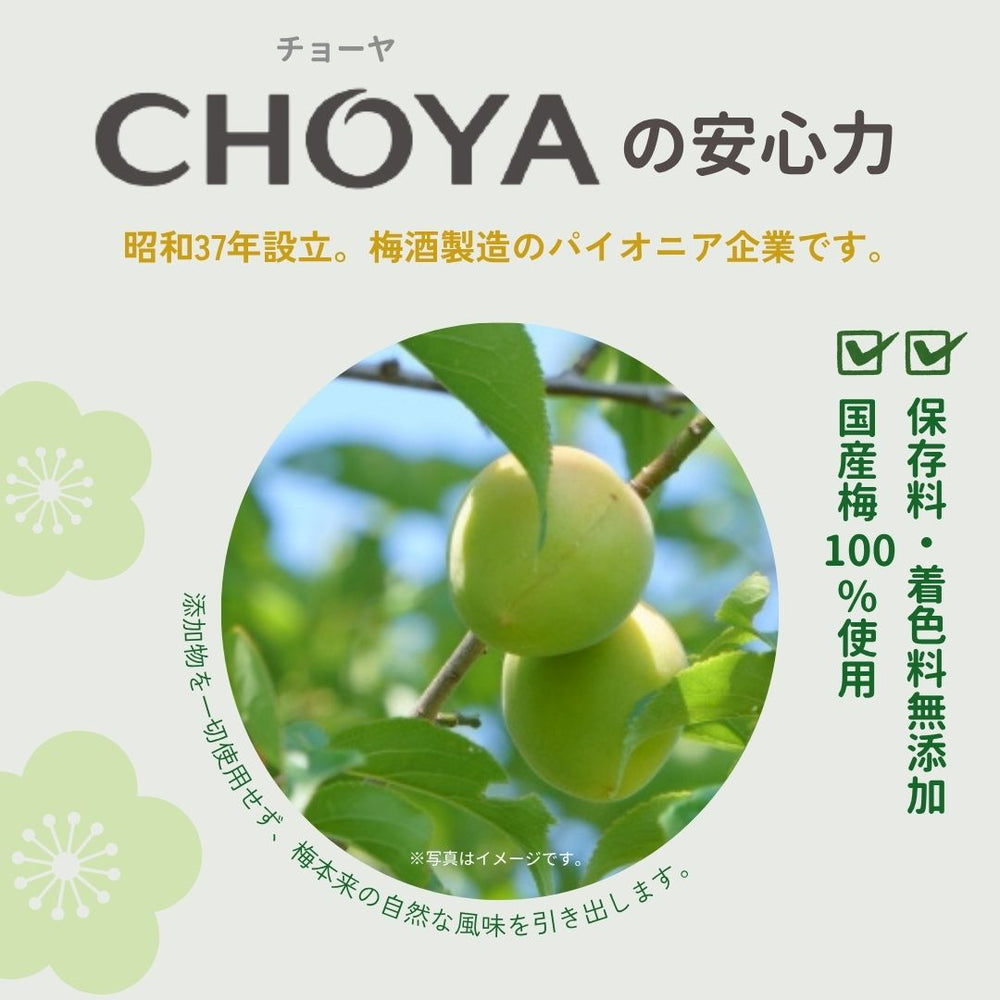 梅酒のうめ チョーヤ 200g×10袋