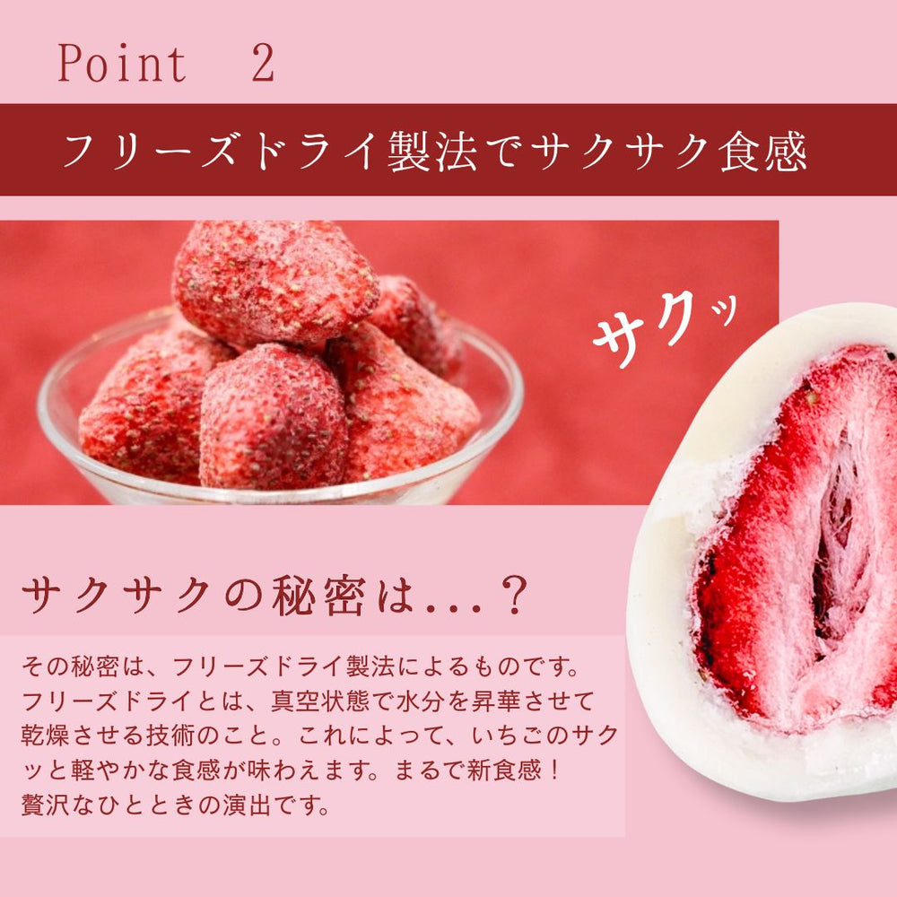 フリーズドライストロベリーホワイトチョコ リアライズプラニング 145ｇ×2袋 ◇ クール便