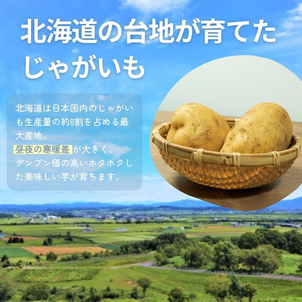無添加ポテトチップス ノースカラーズ 4種×3袋＜賞味期限：最短2026/9/21＞