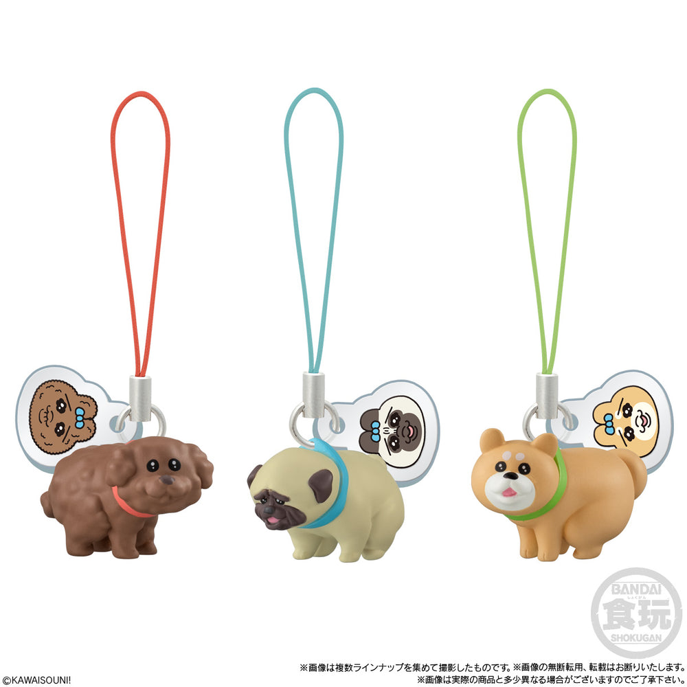 □おぱんちゅうさぎとわんころマスコットビスケットつき　10個(1BOX) バンダイ